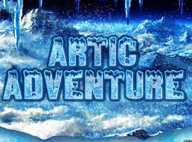 Artic Adventure Hd Slot Übersicht auf Bookofra-play
