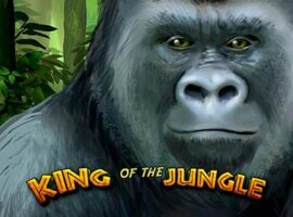 Die Bewertung von King of the Jungle Slot