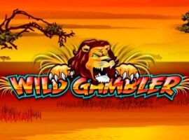 Wild Gambler Spielautomat Übersicht auf Bookofra-play