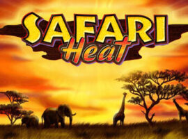 Safari Heat Slot Übersicht auf Bookofra-play